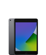 iPad mini (5. Generation)